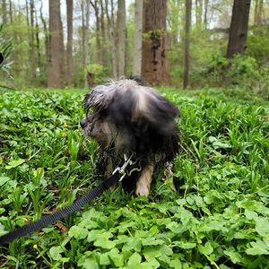 Meet your Posher, Jax